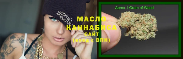 соль ск Пересвет