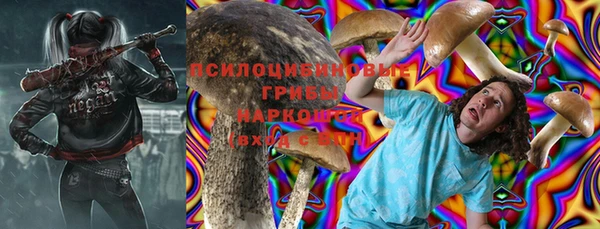 соль ск Пересвет