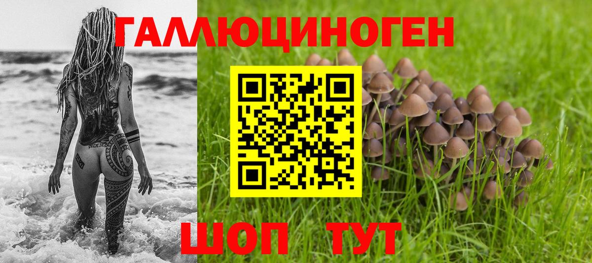 Галлюциногенные грибы мицелий Родники