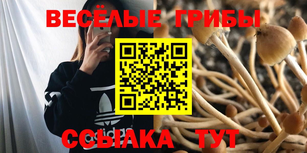 Псилоцибиновые грибы GOLDEN TEACHER  Вход с VPN  Родники 